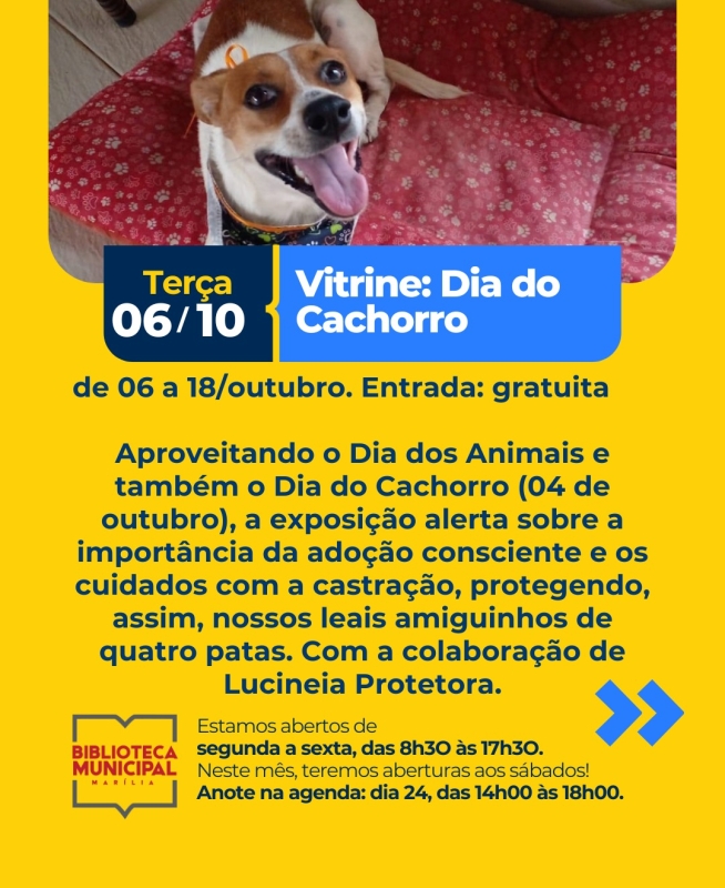 Evento exposicao-dia-do-cachorro